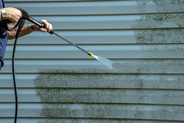 Best Sidewalk Pressure Washing  in Trail Creek, IN
