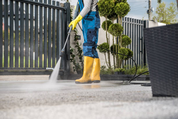 Best Affordable Power Washing  in Trail Creek, IN